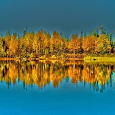 LYNN LAKE FLY-IN OUTPOST CAMPS